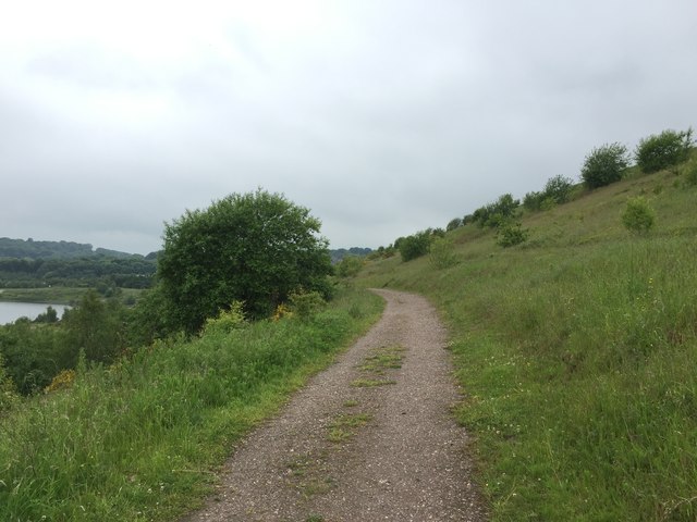 Silverdale Country Park: middle track along NW slope of Void