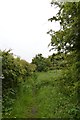 Footpath leading to Crackley Lane