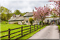 SD3691 : Driveway to Graythwaite Home Farm by Ian Capper