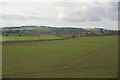 Bogside near Forfar