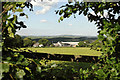 Newton Farm seen through Road Hedge