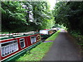 Moorings along the Peak Forest Canal