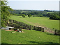 Sheep pens near Ox Lodge