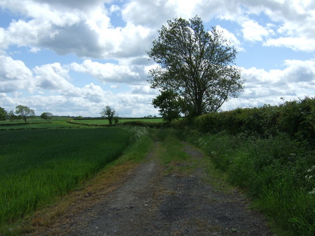 Farm track off Black Boy Road