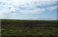 Moorland, Castleton Rigg