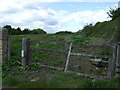 Field entrance near High Farm, Great Lumley