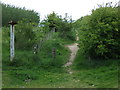 Path heading north from Lumley New Road