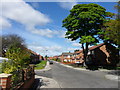 Whittingham Road, Newbiggin Hall Estate