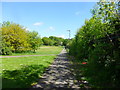 Path across Gala Field, Newbiggin Hall Estate