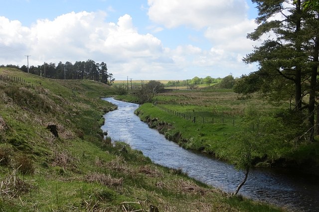 River Ayr © Richard Webb :: Geograph Britain and Ireland