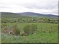 Farmland, near Pitchroy