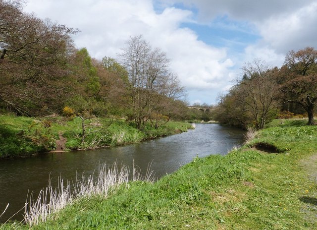 Riverside path and the River Derwent,  Gibside estate