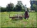 SE6149 : Horse in Paddock by Mick Garratt