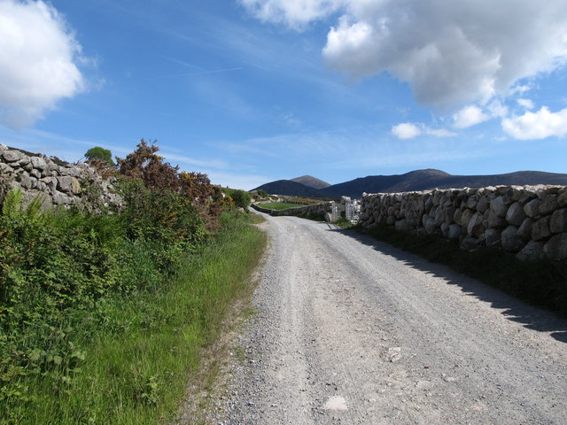 View due North along the Carrick Little road