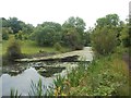 The Barnsley Canal at Smithy Green