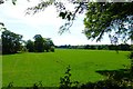 Meadow on the Carron