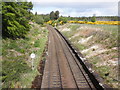 Highland line to Inverness