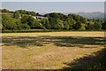 Field near Rhyd-y-Meudw