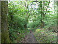 Jubilee Trail in Milton Park Wood