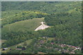 Whiteleaf Cross: aerial 2015