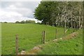 Field corner, Carnduff