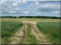 Entrance to field, Kingthorpe