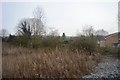 Waste ground by the Chiltern Main Line