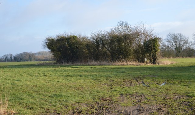 Wooded pond © N Chadwick :: Geograph Britain and Ireland