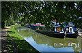 Narrowboats moored along the Oxford Canal