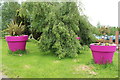 Flower Pots at Garden Wise, Dumfries