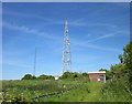 SJ5274 : Radio Masts at Newton by Jeff Buck