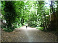 The Parkland Walk near Muswell Hill Road