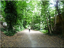 TQ2889 : The Parkland Walk near Muswell Hill Road by Marathon