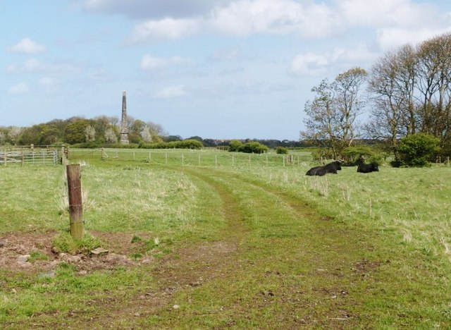 The Delaval Obelisk from the footpath to Holywell Dene