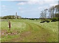 NZ3275 : The Delaval Obelisk from the footpath to Holywell Dene by Derek Voller