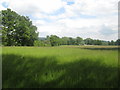 Towards Brook House Farm