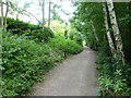 The route of the former railway line to Alexandra Palace