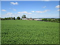 Over  crop  to  Whin  Hill  Farm