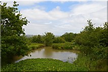 SJ8148 : Alsagers Bank: pond near Apedale Country Park by Jonathan Hutchins
