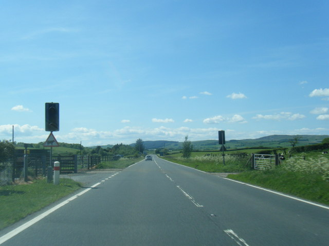 A75 westbound at cattle crossing lights