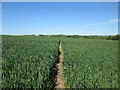 Footpath  to  Langton  from  Kennythorpe