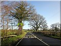 A40 at Pont Cellyn