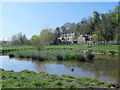 Small pond by the River Lea (or Lee)