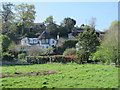 Hartham Grazing Meadow (2)