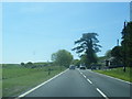 A75 westbound near Newton