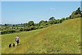 Strip Lynchets at South Petherton