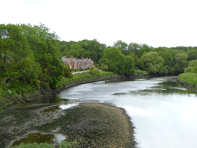 The River Wear and South View
