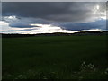 Farmland at Bow of Fife