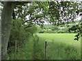 Footpath between Woolland and Ibberton