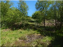 NS3678 : Former site of rifle range's targets by Lairich Rig